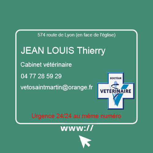 Bouton / Lien pour acceder au site du Cabinet vétérinaire 04 77 28 59 29